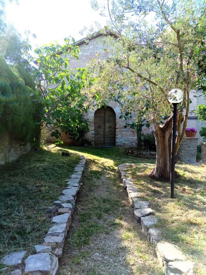 אסיסי Residenza Messer Pajola מראה חיצוני תמונה